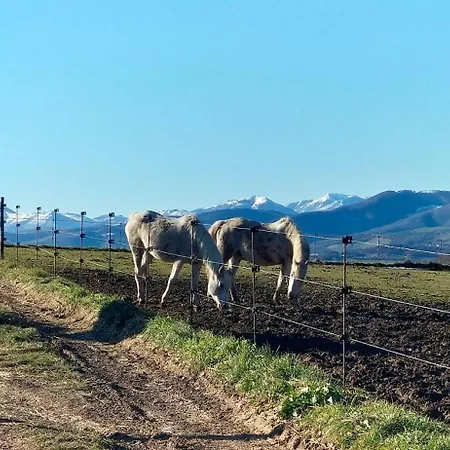 Lägenhet A Casa Cingoli