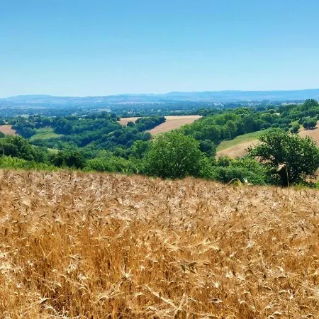A Casa Cingoli