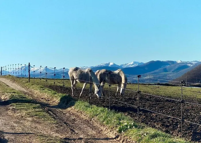 Apartamento A Casa Cingoli