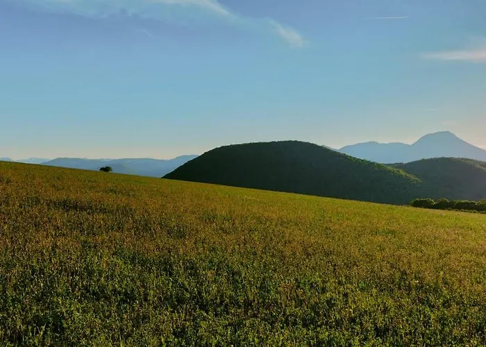 Apartamento A Casa Cingoli